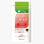 画像1: MSS オーソサプリPro 乳酸菌鉄 (1)